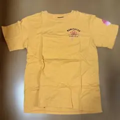 Item thumbnail for item 861a3135-b50f-40dd-8bfd-7fd98b5233d9