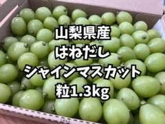 Yumyum様専用　はねだし　1.3kg　山梨シャインマスカット　粒売り