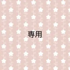 ⭐️輝子⭐️購入時、プロフ必読❣️様 リクエスト 2点 まとめ商品