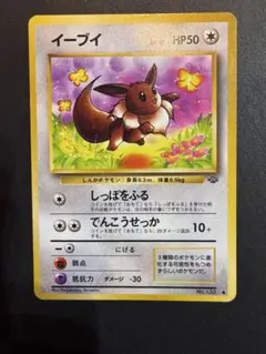 A*O様 もようがえグッズプレゼント ポケモンバトルカードe＋（読み込み