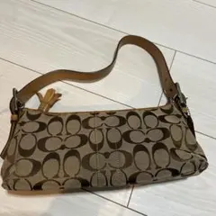 Item thumbnail for item 4feee23a-89ba-40a0-b391-200e1383e84e