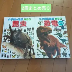 【まとめ売り】①小学館の図鑑NEO 昆虫②小学館の図鑑NEO 恐竜