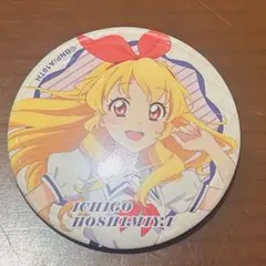 ☺️新品☺️★アイカツ！★星宮いちご バースデー缶バッジ★18点セット★ ☺️新品☺️☆アイカツ！☆星宮いちご バースデー缶バッジ☆18点