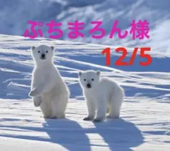 12/5(金)ぷちまろん様 リクエスト 2点 まとめ商品