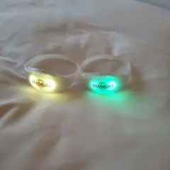 Item thumbnail for item 3f49cc44-4481-4d16-9127-e744784f36d9