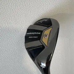 Item thumbnail for item 9f54fbe0-bf95-4ed1-9b7f-4d8e44133059