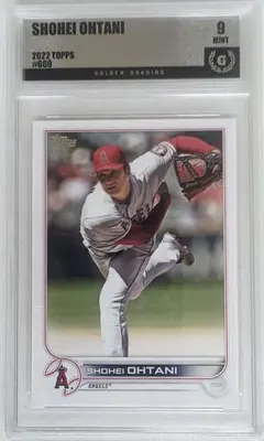 Item thumbnail for item 57a9b0a2-c823-4fe5-a3f8-5e0099c5e6c3