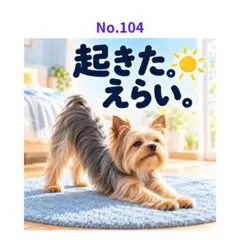 【No.104】ステッカー ヨークシャーテリア 起きた。えらい。 3枚500円