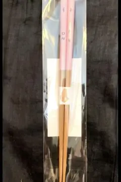 Item thumbnail for item 1b89f17e-1659-483e-a02b-a9383948c354