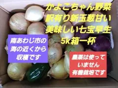 かよこちゃん野菜　安心して食べれる訳有り新玉ねぎ甘くて美味しい七宝早生5k箱一杯のサムネイル
