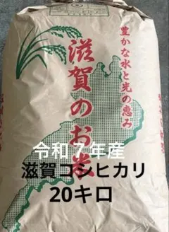 米 20kg 令和7年静岡県産 （無洗米） - メルカリ