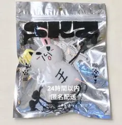straykids スキズ ジュルミ メンプロ リノ leeknow
