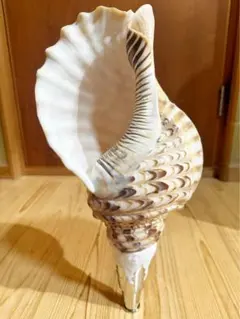 Item thumbnail for item 5a597f61-799b-4ba1-8c4a-1595c4e985cc