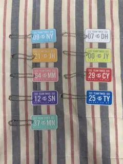 TWICEナンバープレートキーホルダー9個セット