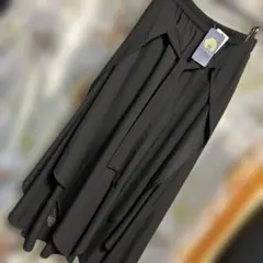 iS ScoLar☆ ブラック フレアスカート