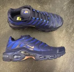 NIKE AIR MAX PLUS Franceスニーカー