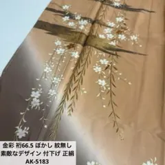 金彩 裄66.5 ぼかし 紋無し 素敵なデザイン 付下げ 正絹 AK-5183