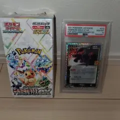 【PSA10】 ブラッキー プロモ 25th とテラスタルフェルex 趣味整理