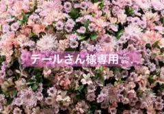 デールさん様専用