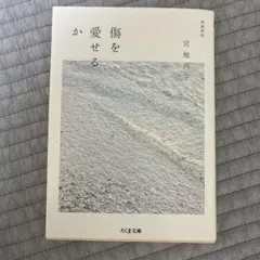 傷を愛せる 増補新版 宮地尚子
