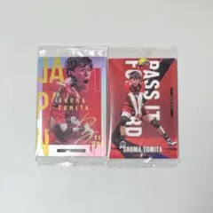 日本代表　男子バレー　ウエハース　カード　富田　N　R