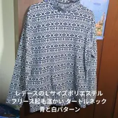 Item thumbnail for item 0c10f0c0-45b1-4883-95f6-dcec86d36169