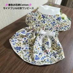 犬服 ハンドメイド♡春色お花柄Cotton♡サイドフリル付きワンピース