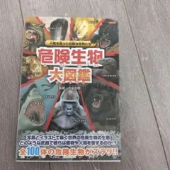 A様 リクエスト 2点 まとめ商品