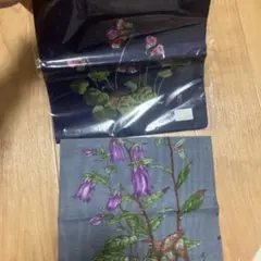 Item thumbnail for item 06f75f1e-6352-4941-8c2d-3295f0ebd167