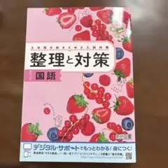 整理と対策 国語 3年生のサムネイル