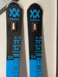 2025年最新】Volkl サイズ：大人 板の人気アイテム - メルカリ