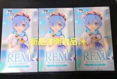 Re:ゼロから始める異世界生活 Trio-Try-iT レム ブライズメイド