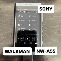 【美品・動作良好】SONY WALKMAN NW-A55（ハイレゾ対応）