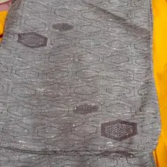 Item thumbnail for item 8d5fe4bd-cb63-4fc9-88e6-c8950712e7b7