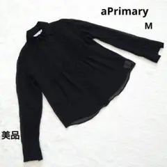 美品 アプライマリー ブラック　シアー 長袖シャツ M