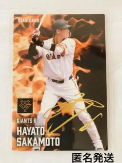 坂本勇人 スポーツカード