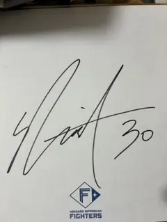 北海道日本ハムファイターズ 郡司裕也 直筆サイン色紙 - メルカリ
