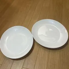 Item thumbnail for item 2f89f283-0f37-4ac8-a564-54febbaa09db