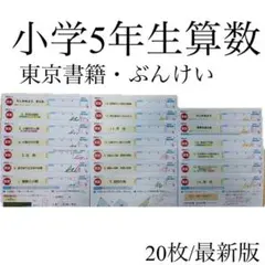 小学5年生 算数 カラーテスト 全19枚 使用済 - メルカリ