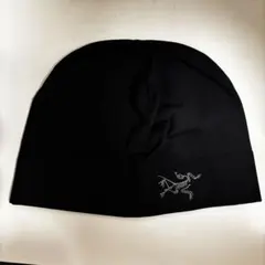 2026年最新】arc'teryx アークテリクス rhoの人気アイテム - メルカリ