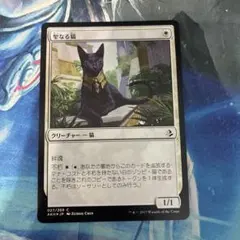 MTG 初版Foil】《聖なる猫/Sacred Cat》[AKH]日本語 JP