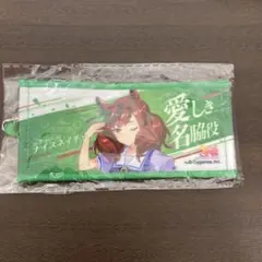 ナイスネイチャ 応援ミニタオルキーホルダー リアルガチャ