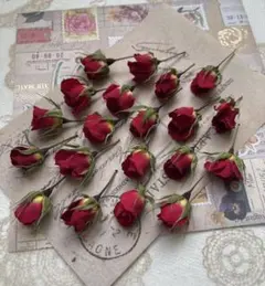 ミニバラ ♡20本♡ ドライフラワー