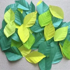 折り紙　葉っぱ　50枚
