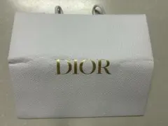 DIORの紙袋（ショッパー）のサムネイル
