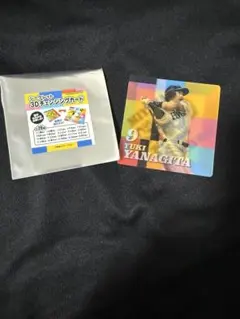 柳田悠岐選手　 3D チェンジングカード