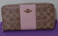 Item thumbnail for item 426caf8b-58cc-4499-ab8a-135c55c92273