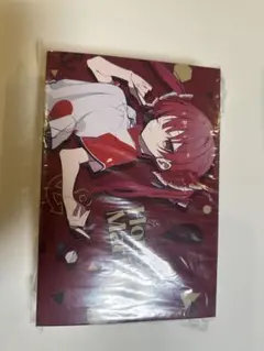 【ジャンク】ホロライブ ダーツセット 宝鐘マリン Ver. バラ売り不可 ダーツ > キャラクター > 【Only Japan】ホロライブ ダーツ