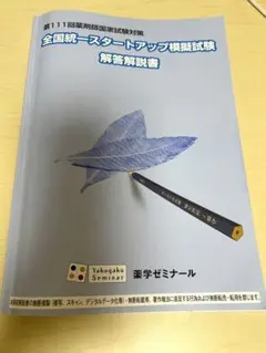 2026年最新】全国統一模擬試験の解答と解説の人気アイテム - メルカリ