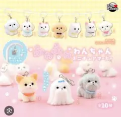 ふわふわわんちゃん ミニチュアマーカー めじるし リッツ